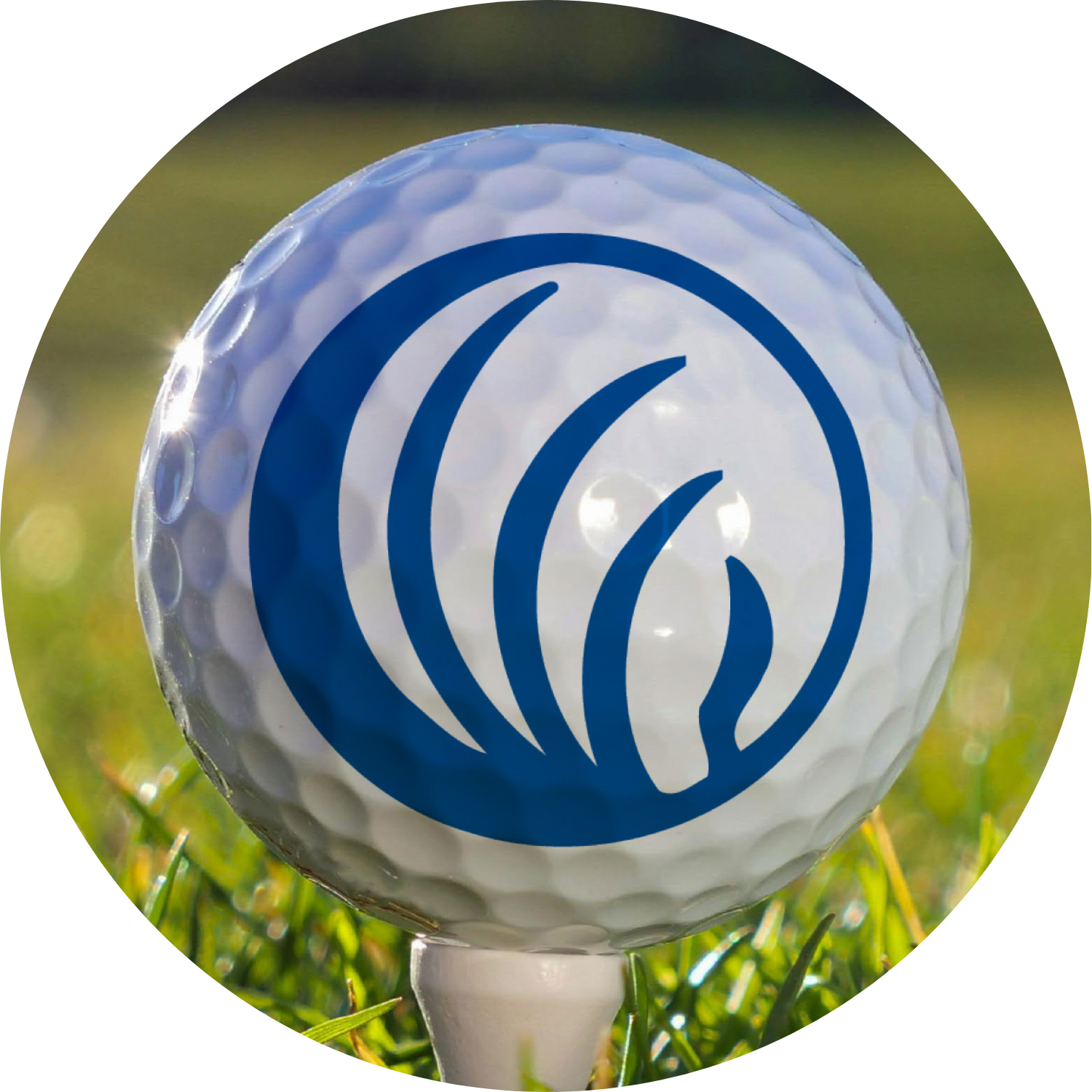 NAMI Southwest Ohio Golf Outing - logo